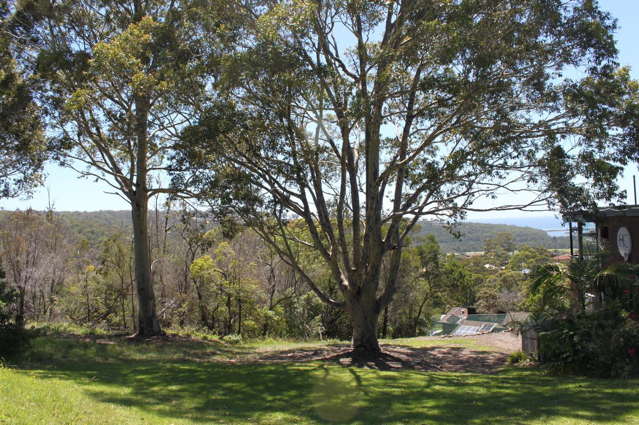 Hillcrest Merimbula Exteriör bild